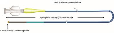 Guiding Principles for the Clinical Use and Selection of Microcatheters in Complex Coronary Interventions